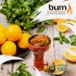 Заказать кальянный табак Burn Lemon Mint (Берн Лимон Мята) 100г онлайн с доставкой всей России Заказать кальянный табак Burn Lemon Mint (Берн Лимон Мята) 100г онлайн с доставкой всей России